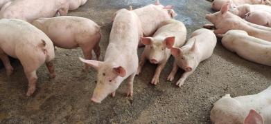 WhatsApp Image 2022-03-11 at 14.59.36.jpeg