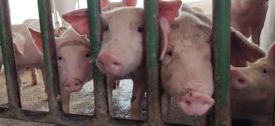 WhatsApp Image 2022-03-11 at 15.36.35.jpeg