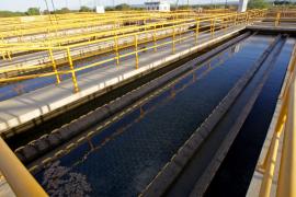 WhatsApp Image 2022-03-21 at 16.39.21.jpeg