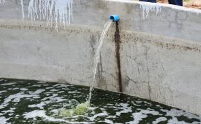 WhatsApp Image 2022-03-24 at 17.00.12.jpeg