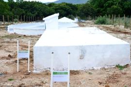 WhatsApp Image 2022-03-24 at 17.00.16.jpeg