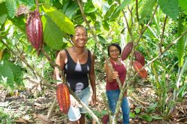 WhatsApp Image 2022-03-25 at 17.38.18 (1).jpeg