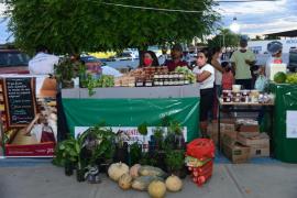 WhatsApp Image 2022-03-25 at 18.27.19.jpeg