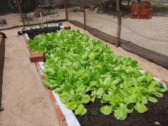 WhatsApp Image 2022-04-04 at 17.28.21 (1).jpeg