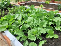 WhatsApp Image 2022-04-04 at 17.28.21 (2).jpeg