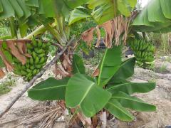 WhatsApp Image 2022-04-04 at 17.28.24 (1).jpeg