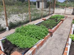 WhatsApp Image 2022-04-04 at 17.28.25.jpeg