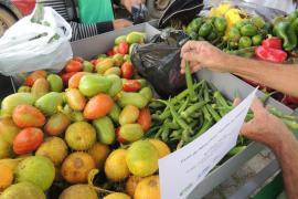 WhatsApp Image 2022-04-05 at 16.55.02 (7).jpeg