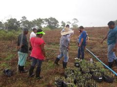 WhatsApp Image 2022-04-07 at 16.50.24.jpeg