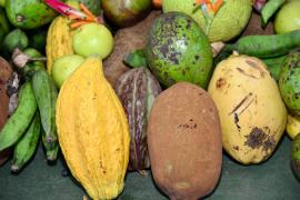 WhatsApp Image 2022-04-07 at 17.20.06.jpeg