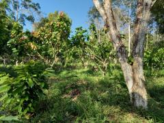 WhatsApp Image 2022-04-08 at 17.39.14.jpeg