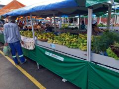 WhatsApp Image 2022-04-13 at 08.25.42.jpeg