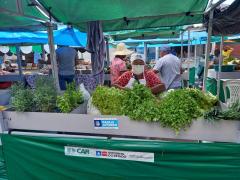 WhatsApp Image 2022-04-13 at 08.25.44 (1).jpeg