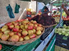 WhatsApp Image 2022-04-13 at 08.27.38.jpeg