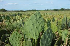 WhatsApp Image 2022-04-13 at 14.00.40.jpeg