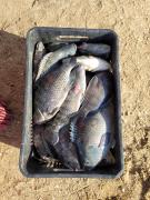 WhatsApp Image 2022-04-15 at 09.10.50 (2).jpeg