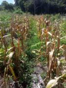 WhatsApp Image 2022-04-18 at 17.33.28.jpeg