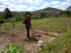 WhatsApp Image 2022-04-18 at 17.40.49 (1).jpeg