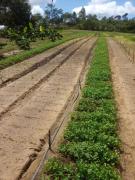 WhatsApp Image 2022-04-18 at 17.40.50 (3).jpeg