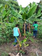 WhatsApp Image 2022-04-18 at 17.41.18.jpeg