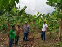 WhatsApp Image 2022-04-18 at 17.41.19.jpeg