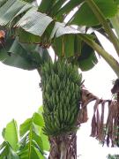 WhatsApp Image 2022-04-18 at 17.41.20 (1).jpeg