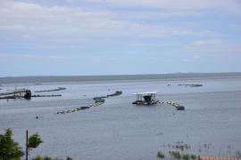 WhatsApp Image 2022-04-28 at 14.58.10.jpeg