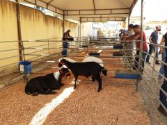 WhatsApp Image 2022-04-29 at 11.26.55.jpeg