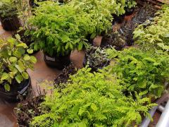 WhatsApp Image 2022-04-29 at 19.03.02.jpeg