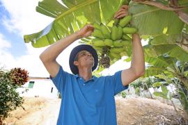 Prosemiarido_Lume_SerraVerde_ManuelaCavadas (10).JPG