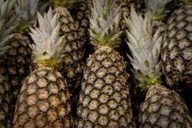 WhatsApp Image 2021-06-09 at 15.25.18.jpeg