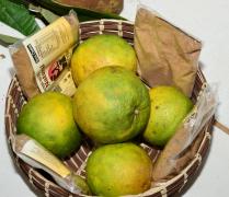 WhatsApp Image 2022-05-04 at 14.55.49 (1).jpeg