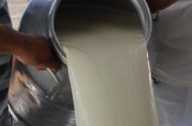 WhatsApp Image 2022-05-11 at 13.40.40.jpeg