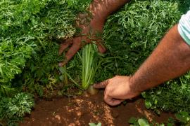 WhatsApp Image 2022-05-11 at 13.55.36 (1).jpeg