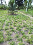 WhatsApp Image 2022-05-12 at 11.53.16 (1).jpeg