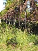 WhatsApp Image 2022-05-12 at 11.53.16.jpeg