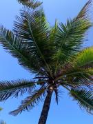 WhatsApp Image 2022-05-12 at 17.23.39.jpeg