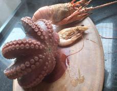 WhatsApp Image 2022-05-18 at 15.49.26 (1).jpeg