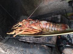 WhatsApp Image 2022-05-18 at 15.49.27 (1).jpeg