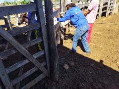 WhatsApp Image 2022-05-24 at 15.15.40 (1).jpeg