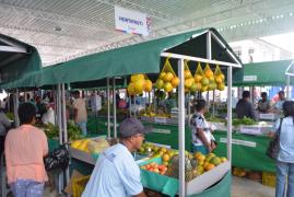 WhatsApp Image 2022-05-27 at 14.48.47.jpeg