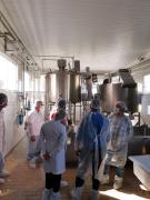 WhatsApp Image 2022-10-13 at 17.55.01.jpeg