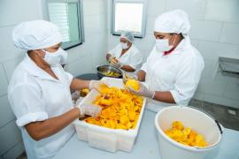 WhatsApp Image 2022-10-27 at 14.44.50.jpeg