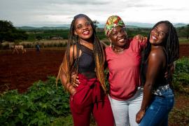 WhatsApp Image 2022-10-27 at 14.44.54.jpeg