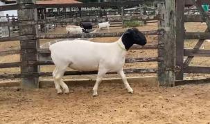 WhatsApp Image 2022-12-06 at 11.30.14 (1).jpeg