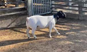 WhatsApp Image 2022-12-06 at 11.30.15.jpeg