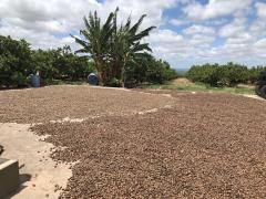 WhatsApp Image 2022-12-08 at 12.54.18.jpeg