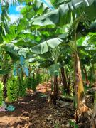 WhatsApp Image 2022-12-12 at 15.54.41 (1).jpeg