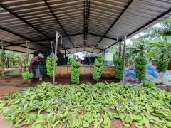 WhatsApp Image 2022-12-12 at 15.54.41 (2).jpeg