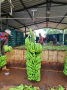 WhatsApp Image 2022-12-12 at 15.54.41.jpeg